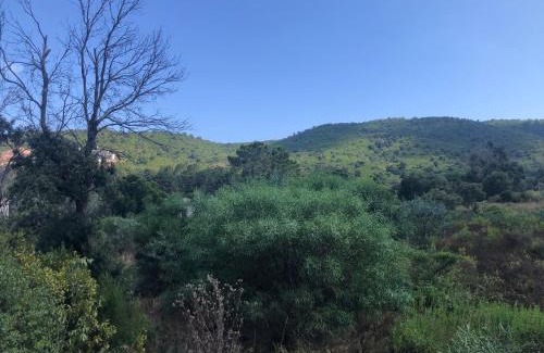 Favone Villa | Villa CORSE FAVONE Lagon Bleu