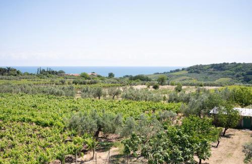 Ortona House | Villa Costa dei Trabocchi Ortona - Sea view