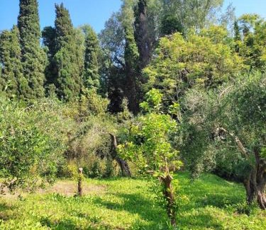 Velonades Villa | Villa Cottage Eleni