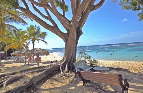 Anse des Rochers Apartment | Villa Créole Domaine privé de l'Anse des Rochers