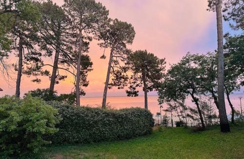 La Teste-de-Buch Villa | Villa d'exception au bord du lac