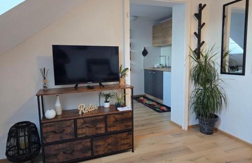 Niederwuerschnitz Apartment | Villa Dacha