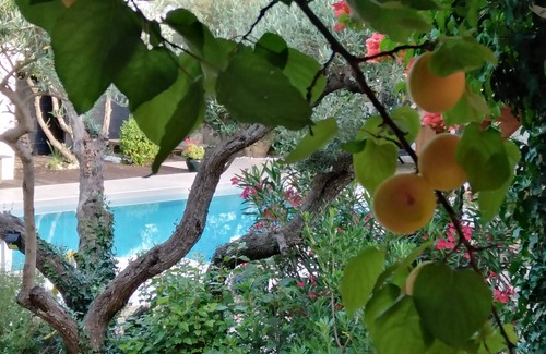 Saint-Bauzille-de-Montmel House | Villa de Charme au Pied du pic Saint lou