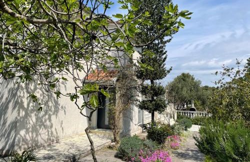 Pasman Apartment | Villa Dea Solis