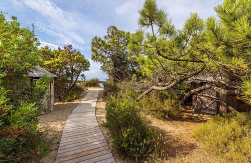Roccamare Villa | Villa Dei Pini modern luxury with p/pool private access to the sea