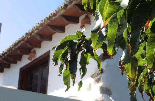 Agulo Apartment | Villa Delfines (Adults only) - Relax in nature with oceanviews terrace