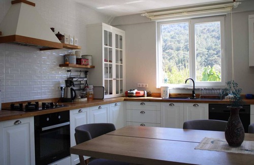 Ortaca Villa | Villa Dionyssos/Country Style Villa in Dalyan