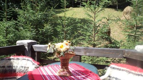 Gura Humorului Villa | Villa Doina