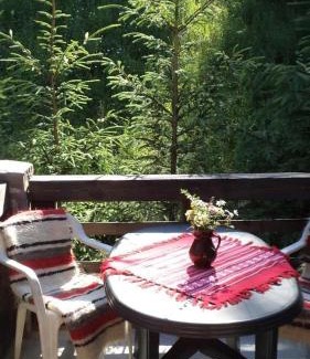 Gura Humorului Villa | Villa Doina