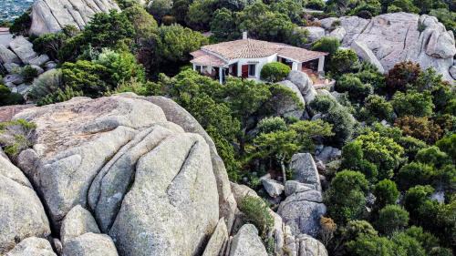 Punta Sardegna Villa | Villa Domo Elia