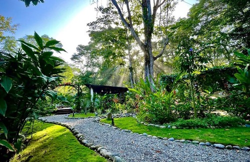 Chiguata Villa | Villa Dragonfly Luxury Beachfront Villa just steps away from the beach!