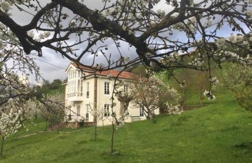 Potes House | Villa Elena