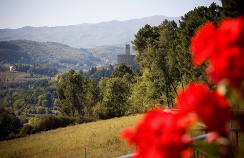 Poppi Villa | Villa Elisabetta close to Florence, private pool, park fenced
