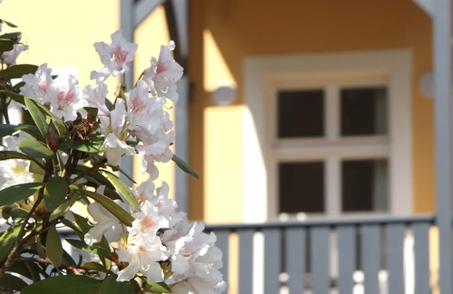 Bad Schandau Villa | Villa Elise