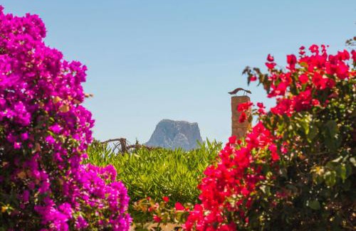La Canuta Villa | Villa Erik - PlusHolidays