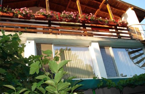 Fish Fish House | Villa Exotica
