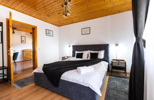 Busteni House | Villa Falco Bianco