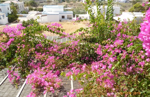 Posidonia Villa | VILLA FILIP posidonia syros cyclades