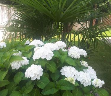 Historic Centre House | Villa Fiorentino
