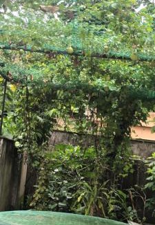 Varkala House | Villa Florence Homestay Varkala Cliff