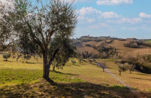 Petritoli Villa | Villa Francesca - Fermo, meravigliosa villa nelle colline marchigiane