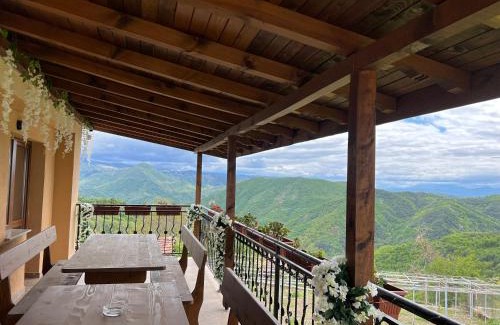 Bansko Villa | Villa Garden
