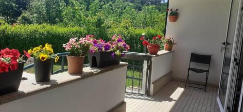 Britelo House | Villa Garden & Pool - Alojamentos