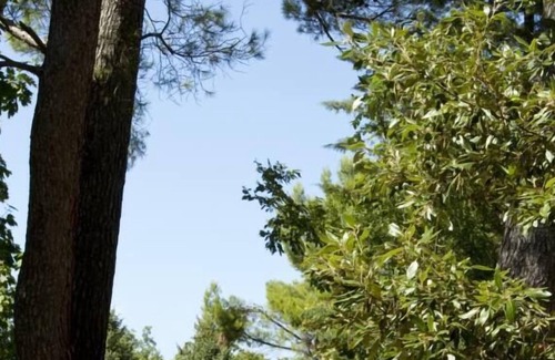 Fabriano Apartment | Villa Gioia - Manor house with pool surrounded by greenery