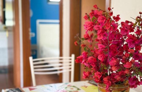 Lotzorai Apartment | Villa Gladyr