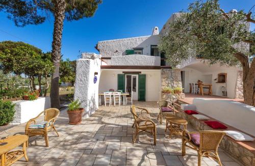Taranto House | Villa Greca by BarbarHouse