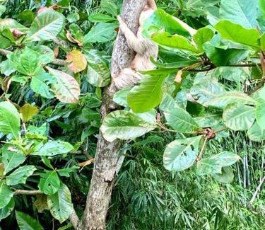 Arenal Hot Springs Villa | Villa Heliconia by Arenal Heights