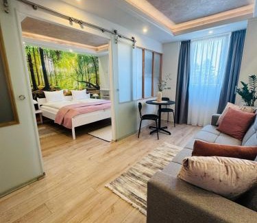 Tirgu Mures House | Villa Helvetia