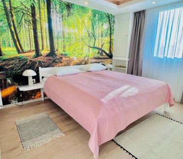 Tirgu Mures House | Villa Helvetia