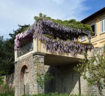 Vicchio Villa | Villa I Delfini