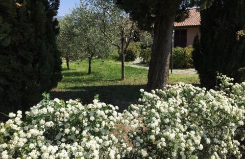 Vinci Villa | Villa Il Principino Country Resort