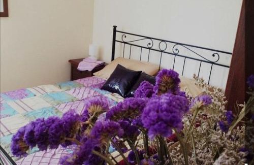 Calvisano Bed & Breakfast | Villa in campagna