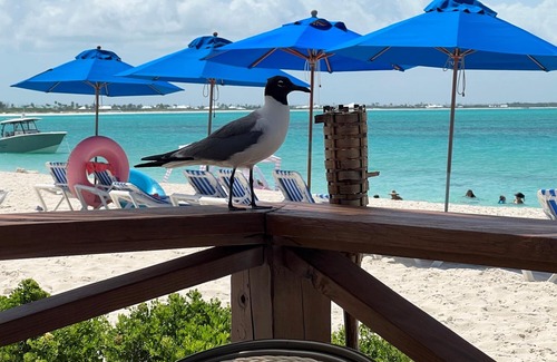 Treasure Cay Villa | Villa in Paradise - Limited Time New Owner Discount !