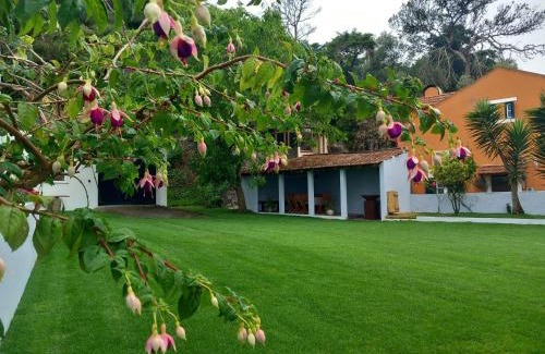 Sintra House | Villa in Sintra - Casa da Penha Ferrim