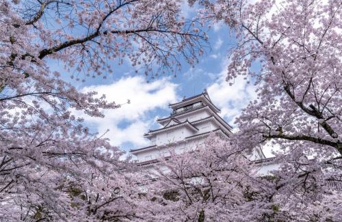 Inawashiro Hotel | Villa Inawashiro