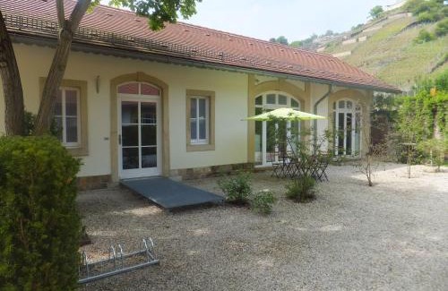 Oberloßnitz Apartment | Villa Jordan