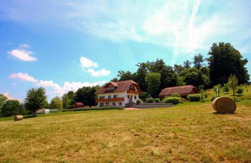 Bostanj Apartment | Villa Katarina