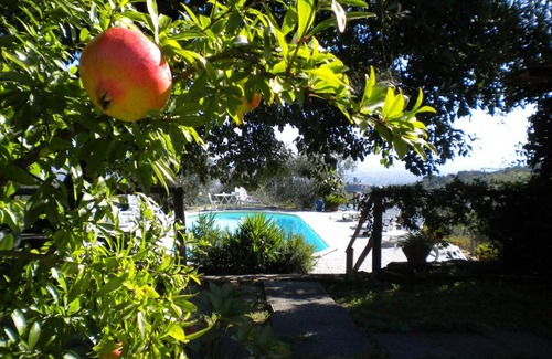 Buggiano House | Villa La Fagianaia