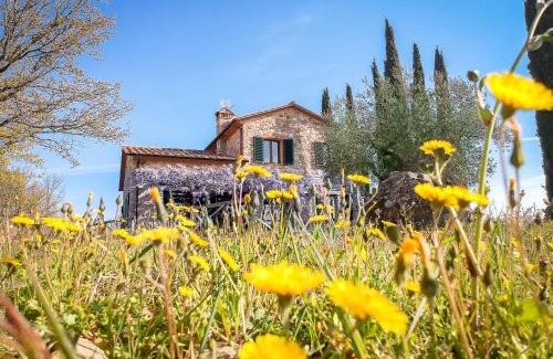 San Venanzo Villa | Villa Lavanda