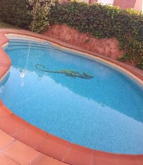 Rivas-Vaciamadrid House | Villa Lendi
