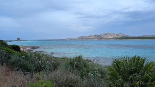Punta De Su Turrione Villa | Villa Liliana Your Private Oasis with Pool