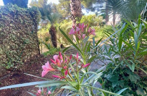 Cipressa Villa | Villa Lilli
