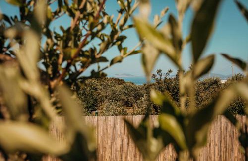 Alghero Villa | Villa Lucia
