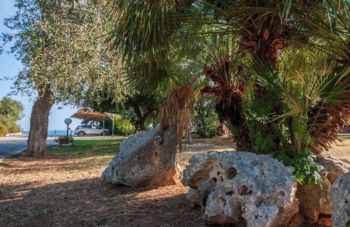 Mattinata Apartment | Villa Lucia Mono 2 Olive