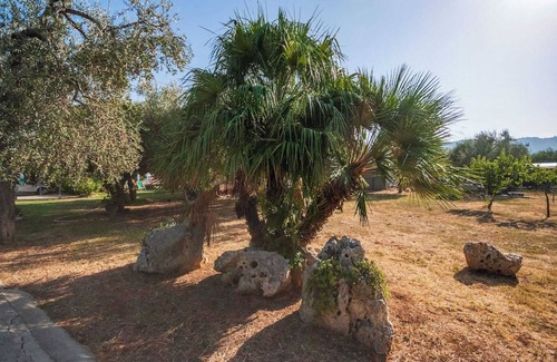 Mattinata Apartment | Villa Lucia Mono 2 Olive