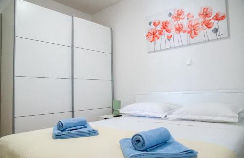 Vinjerac Villa | Villa Macanovi dvori with private pool